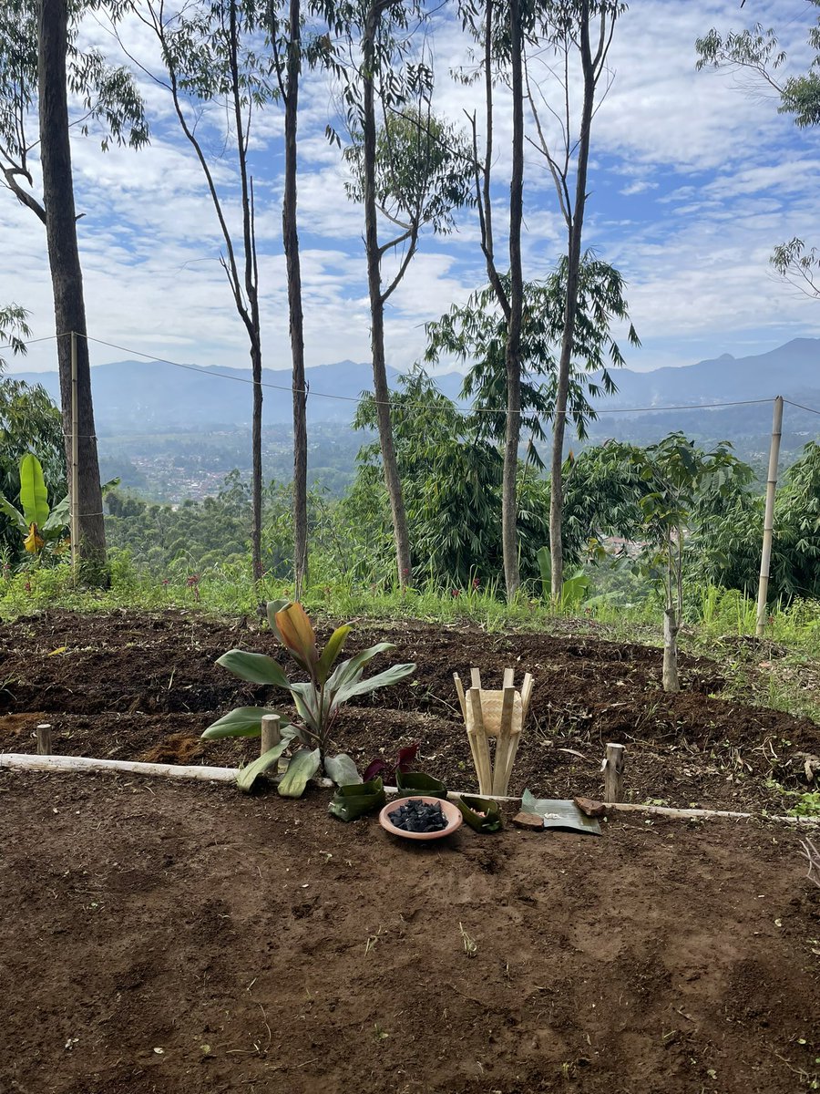 Kebon Bagéa tweet media