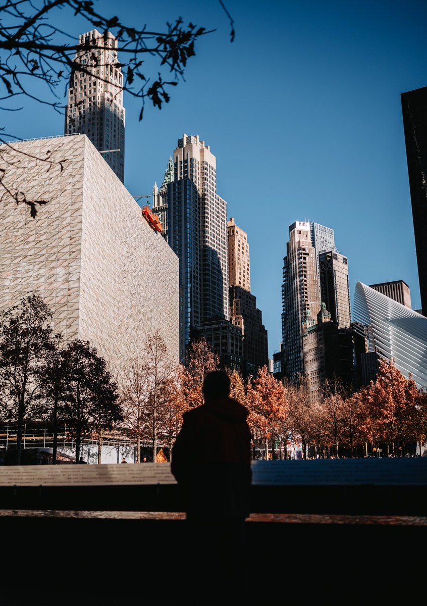 Steve Capelli tweet media