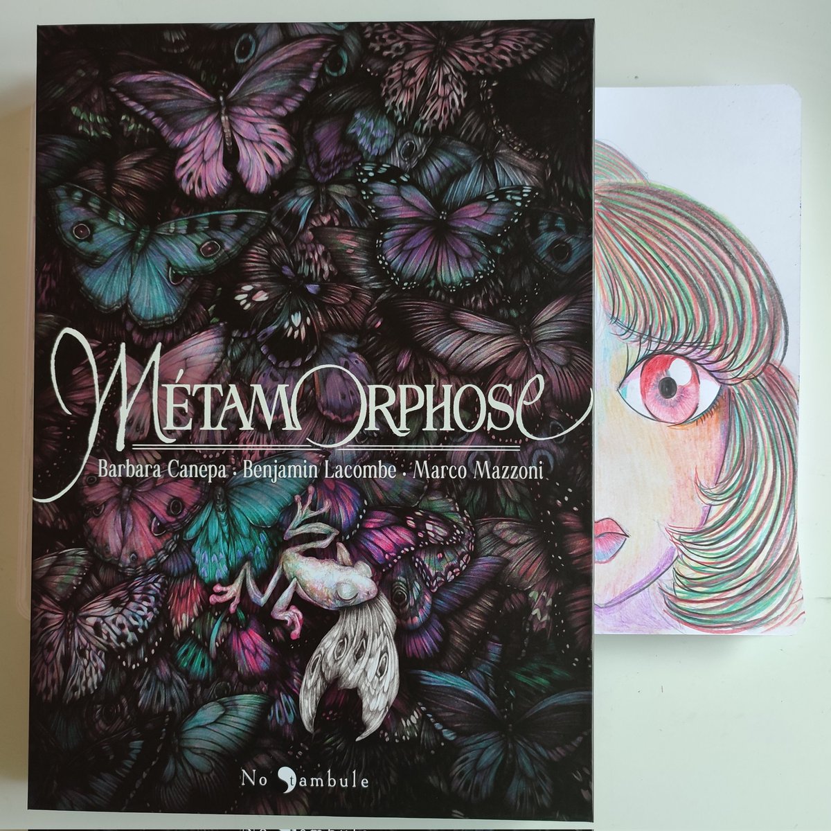 Libros que son joyas. "Métamorphose" con bellas ilustraciones de Marco Mazzoni y textos de Barbara Canepa y Benjamin Lacombe. En francés de la editorial Oxymore 😍😍 
#booktok #books #book #art #artwork #arte #painting ##illustration #librosen60seg #libros #drawing #artbook