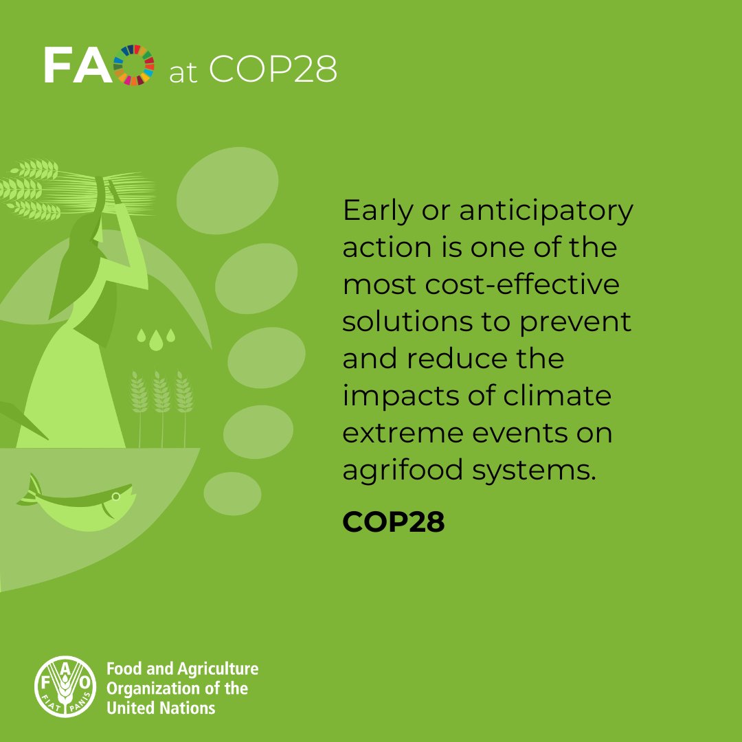 Acting early means investing in a more resilient future.

And with the growing #ClimateCrisis, it’s more important than ever.

#AgricultureCan be a solution: protecting agrifood systems and rural livelihoods is the right thing to do.

bit.ly/3H45C6W

#COP28