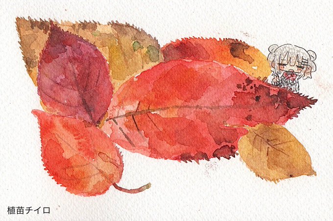 「autumn leaves closed eyes」 illustration images(Latest)