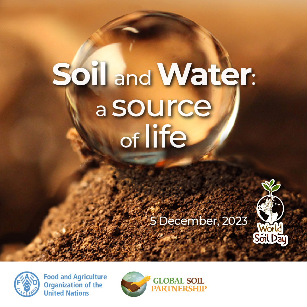 🌍Today marks World Soil Day! Our soil, the foundation of life, faces challenges since chemicals, plastic and non-biodegradable materials are seeping into the earth, disrupting its natural balance and harming ecosystems. Dig deeper ➡️ @UNFAO #WorldSoilDay #WorldCleanupDay