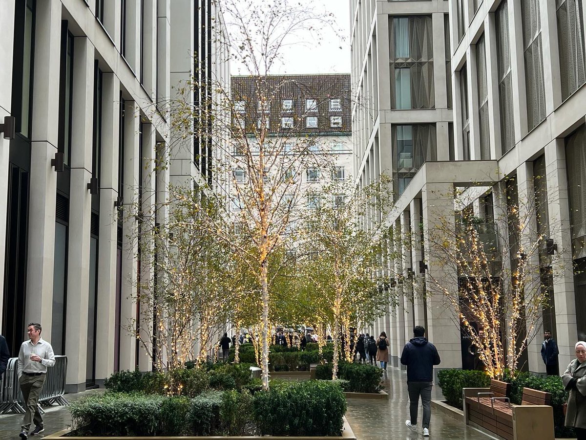 In London for a good lunch - Christmas trees &amp; lights everywhere