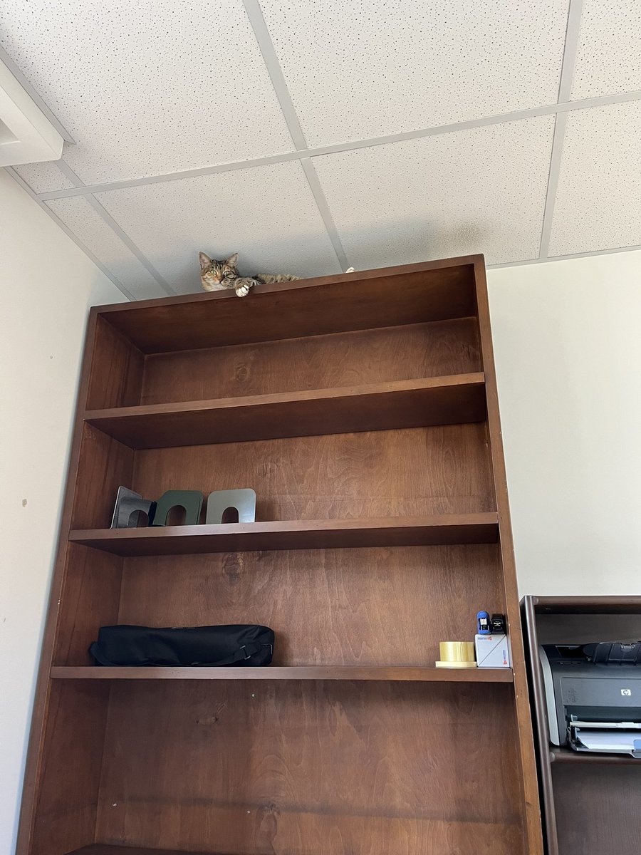 Peter Cherry tweet media