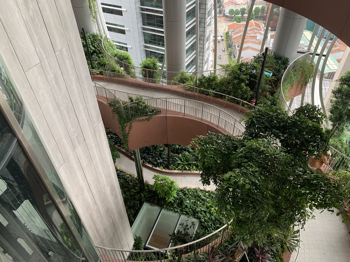 erichwolff's tweet photo. This is #CapitaSpring, one of the tallest green buildins in Singapore. It houses a massive herb and food garden on the rooftop and a green promenade that spans through 4 floors in the middle of the building (floors 17-21). https://t.co/H9seZinZYl