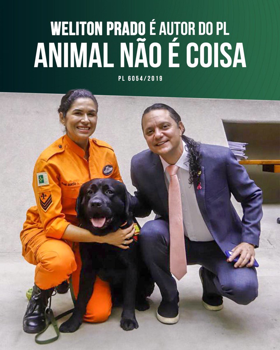 Olá pessoal! Nosso projeto com o Ricardo Izar já foi aprovado na Câmara e no Senado. Mas como teve alterações, precisa ser apreciado novamente pelos deputados. Continuamos mobilizados! #aprovaja 

 #animalnãoécoisa #euprotejoosanimais