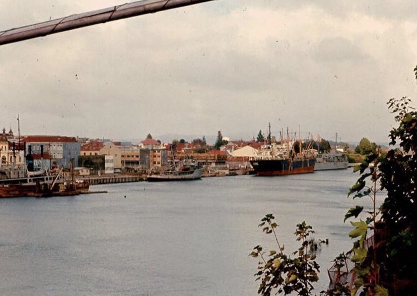 Proyecta Memoria tweet media