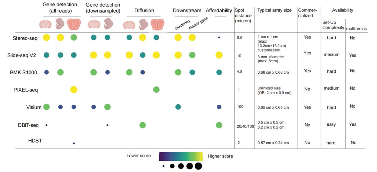 🚨PREPRINT ALERT🚨

Systematic comparison of sequencing-based spatial transcriptomic methods🫶

#ST #benchmark #Visium #HDST #BMKMANUS1000 #SlideSeq #StereoSeq #PIXELSeq #DBiTseq

👉biorxiv.org/content/10.110…