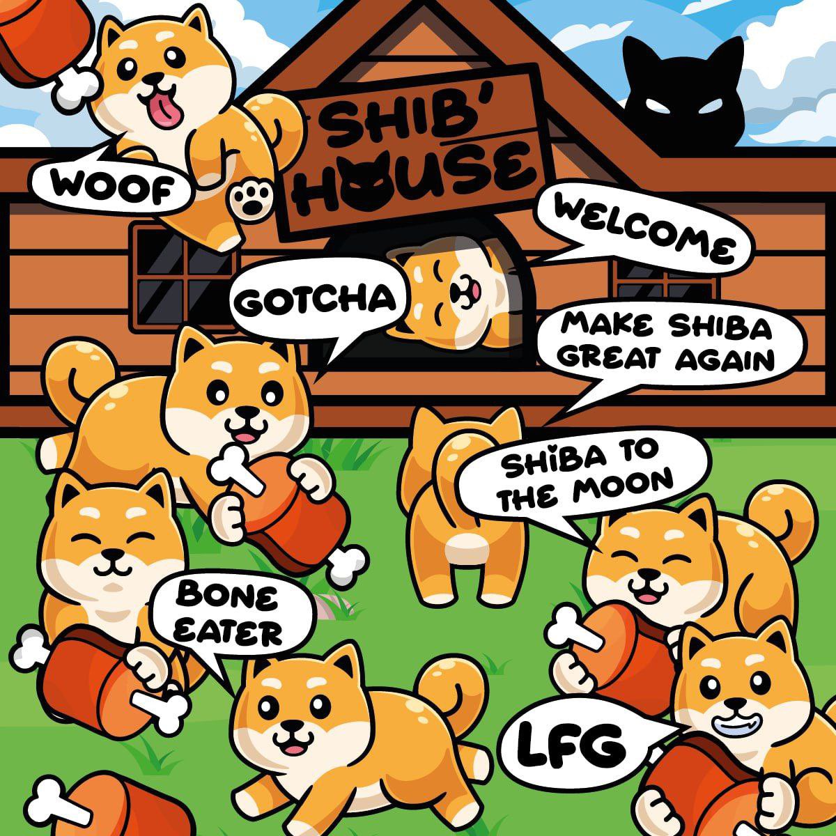 shibhouse_unity's tweet photo. @woofswap Love seeing builders on Shibarium! 
If our first entry surpasses $sols $lite $dogi, and even $ordi, that's the vibe we're after. 🚀
Strength to the builders! 💪🐕
#Shibarium #Shibhouse #ordinal https://t.co/yFaLhF8UXy