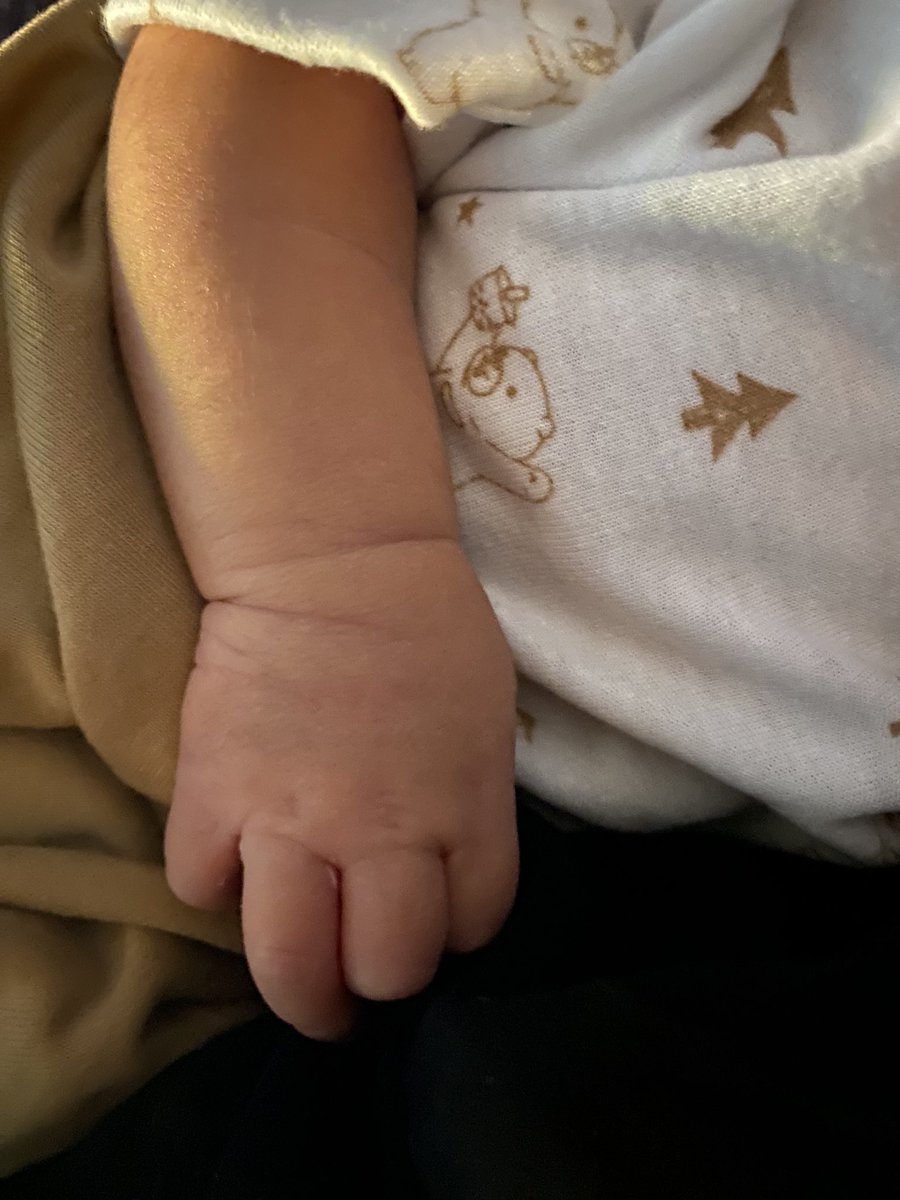 gentifiy's tweet photo. — i never knew i could love a single person so massively, as much as i love the human behind these tiny little fingers and chubby cheeks. 

dearest friend, i hereby present you my very own Mamas 👶🏻🩶 (and the reason behind all the long hiatus(es) in writing) https://t.co/SiW36iHL2r