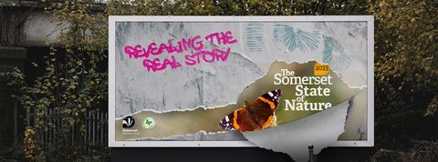 CJS News (@countrysidenews) on Twitter photo The <a href="/SomersetWT/">Somerset Wildlife Trust</a> is pleased to be able to launch the Somerset State of Nature Report 2023. The first of its kind for Somerset, and leading on from the national State of Nature Report released this year c-js.uk/46Lx2th The <a href="/SomersetWT/">Somerset Wildlife Trust</a> is pleased to be able to launch the Somerset State of Nature Report 2023. The first of its kind for Somerset, and leading on from the national State of Nature Report released this year c-js.uk/46Lx2th