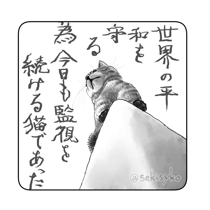 雑日記
最近は朝晩の出退勤の時間になると道ゆく人々をキリッと監視しています。 