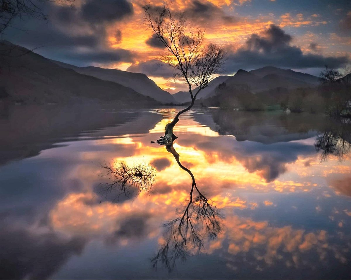 Dawn...
The well known lone tree at Llyn Padarn Llanberis. @ItsYourWales @S4Ctywydd @Cymruwrthgalon @SabrinaJayneLee @Ruth_ITV @ITVWales @BBCWthrWatchers @VisitCaernarfon @visitwales @StormHour @metoffice @WalesCoastPath @wonderfulwales