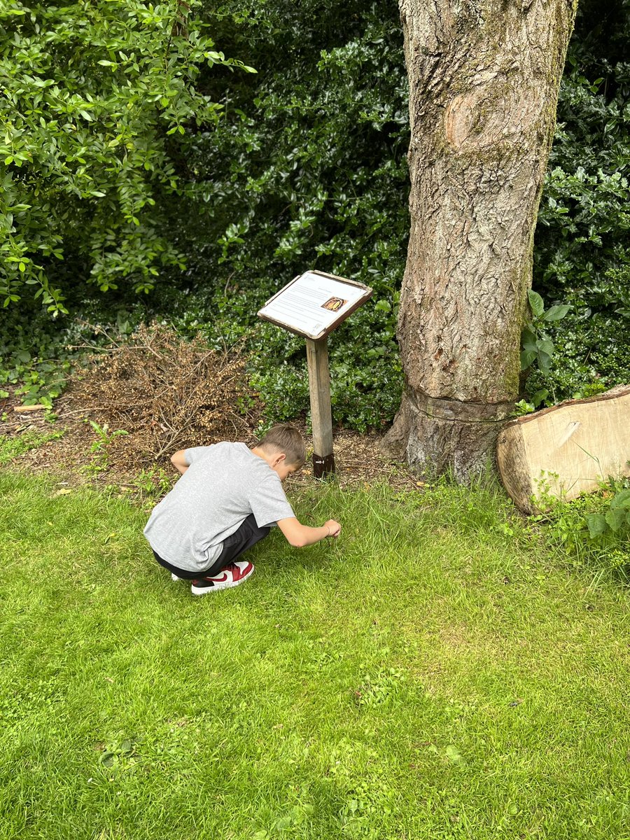 Exploring nature and innovation at its best! Visit the @dundeeuni Botanical Gardens to witness our 3D printed log hive, a remarkable collaboration with @DundeeBotanics 🌿🐝 #LacrimaFoundation #3DPrint #Honeybee #Dundee #Edinburgh #NaturalBeekeeping #EarthshotPrize