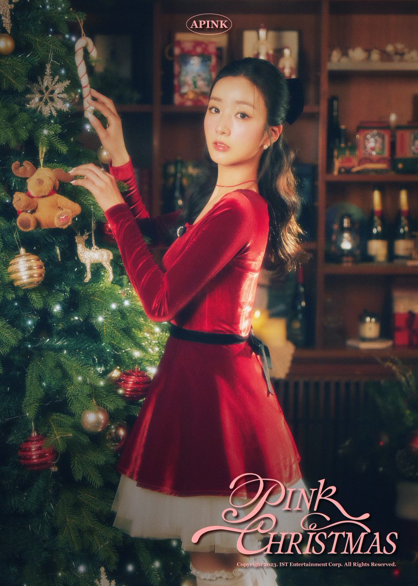 Apink(에이핑크) tweet media