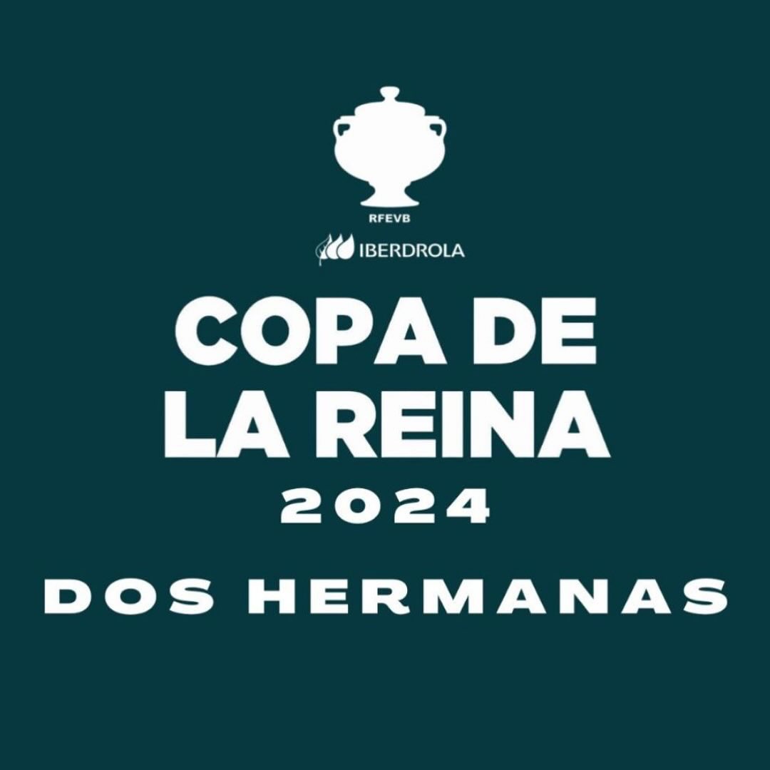 Real Federación Española de Voleibol tweet media