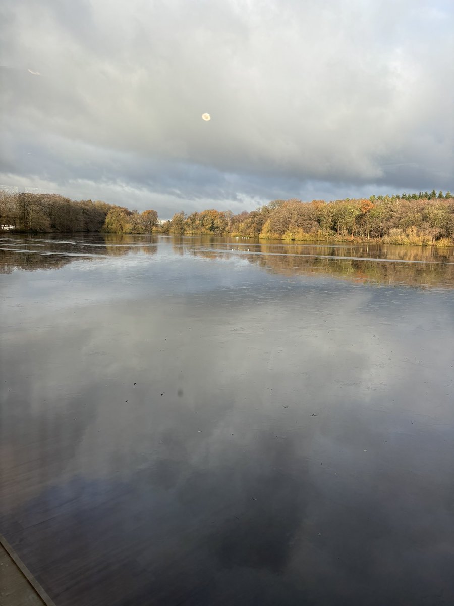 Julia Huettner-Pumar tweet media