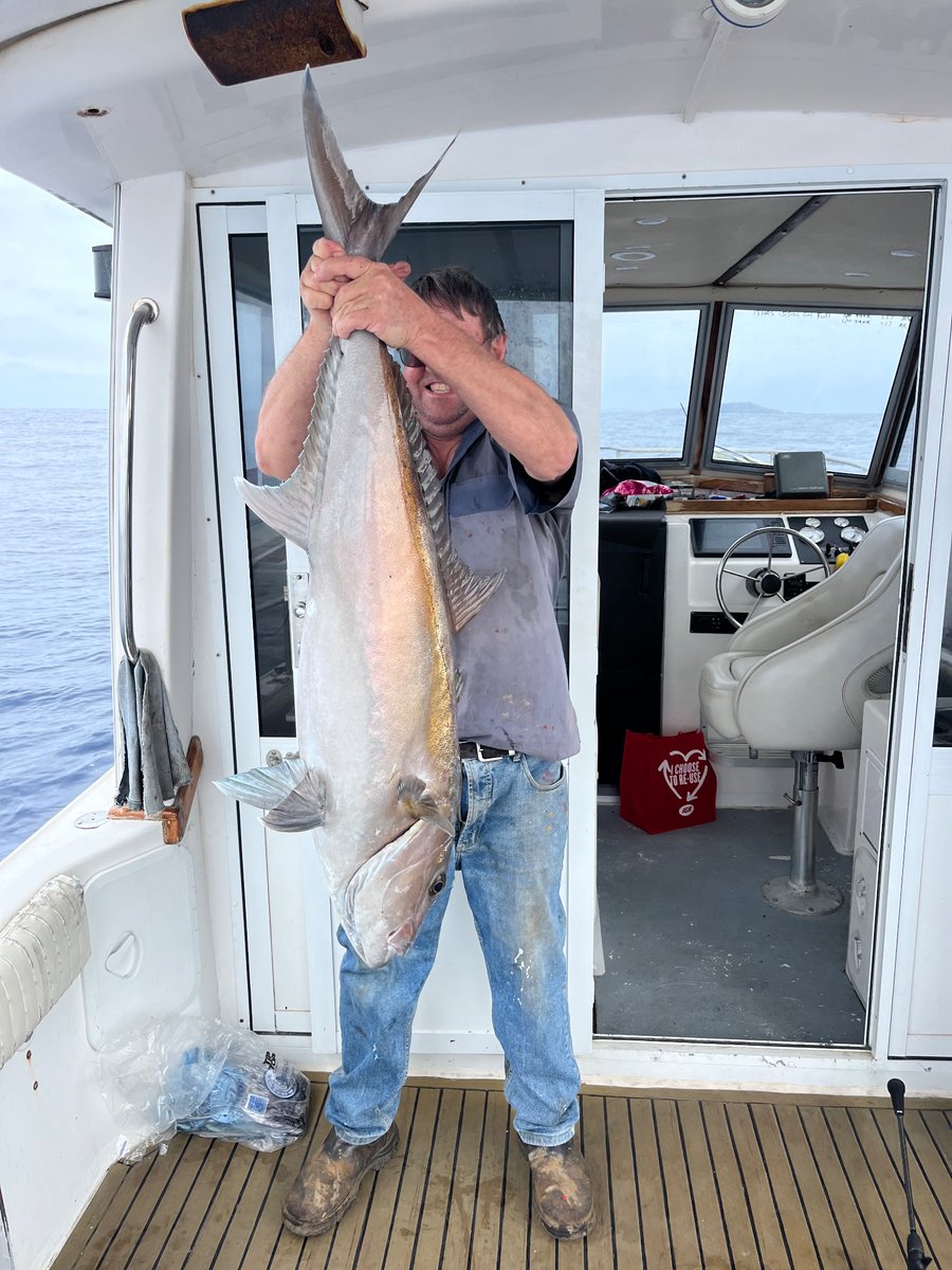 Mark Adams. tweet media