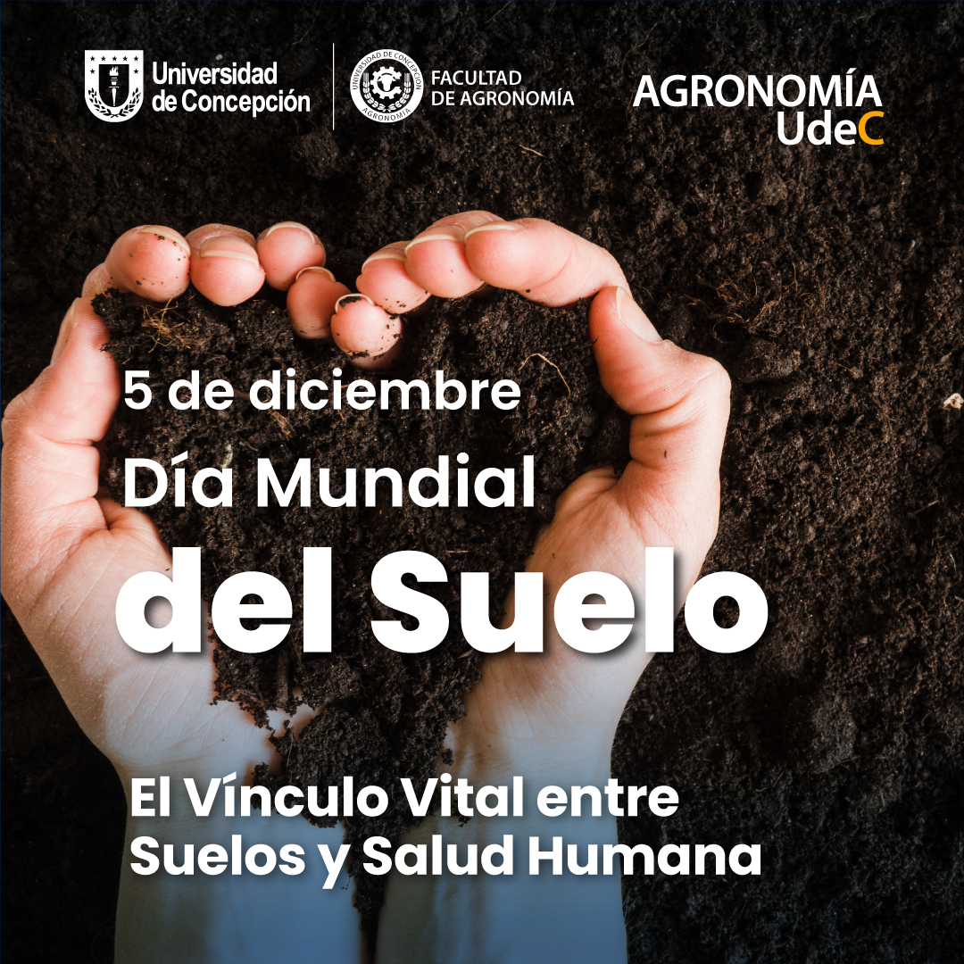 #DíaMundialDelSuelo
🟤“En el Día Mundial del #Suelo, reflexionamos sobre la conexión crucial entre la #geoquímica del suelo y la #saludhumana. Evaluar los suelos es esencial para detectar elementos tóxicos que pueden afectar #cultivos y, por ende, la salud. 
👇