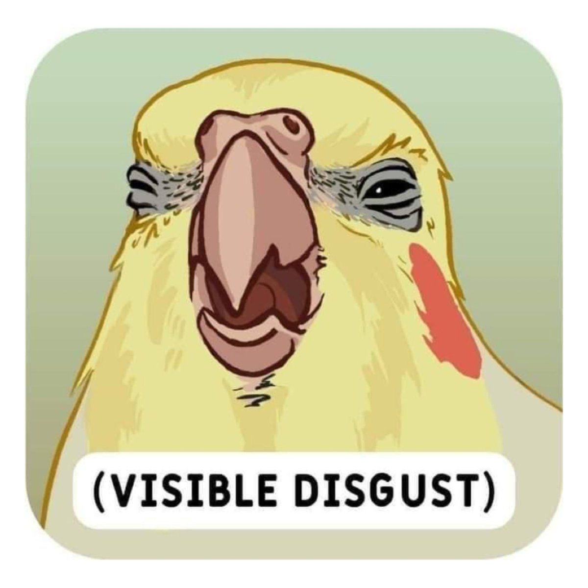 MFW someone says their fave condiment is salad cream 🤢

What would this be your reaction to?

Please save this image and send to others whenever the response is needed 😂

[credit: unknown] #reactionmeme #meme #humour #humor #funnystuff #funnymemesdaily #mademelaugh