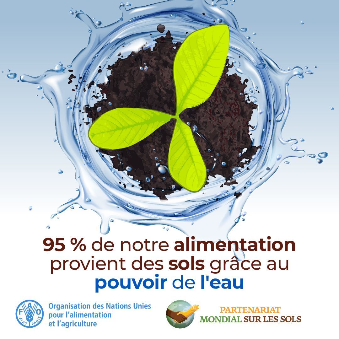 Des sols sains, enrichis en matière organique, jouent un rôle crucial dans la régulation de la rétention et de la disponibilité de l'eau.

Nous devons #AgirPourlesSols et sauvegarder ces ressources, pour notre sécurité alimentaire et celles des générations futures.

#Agissons