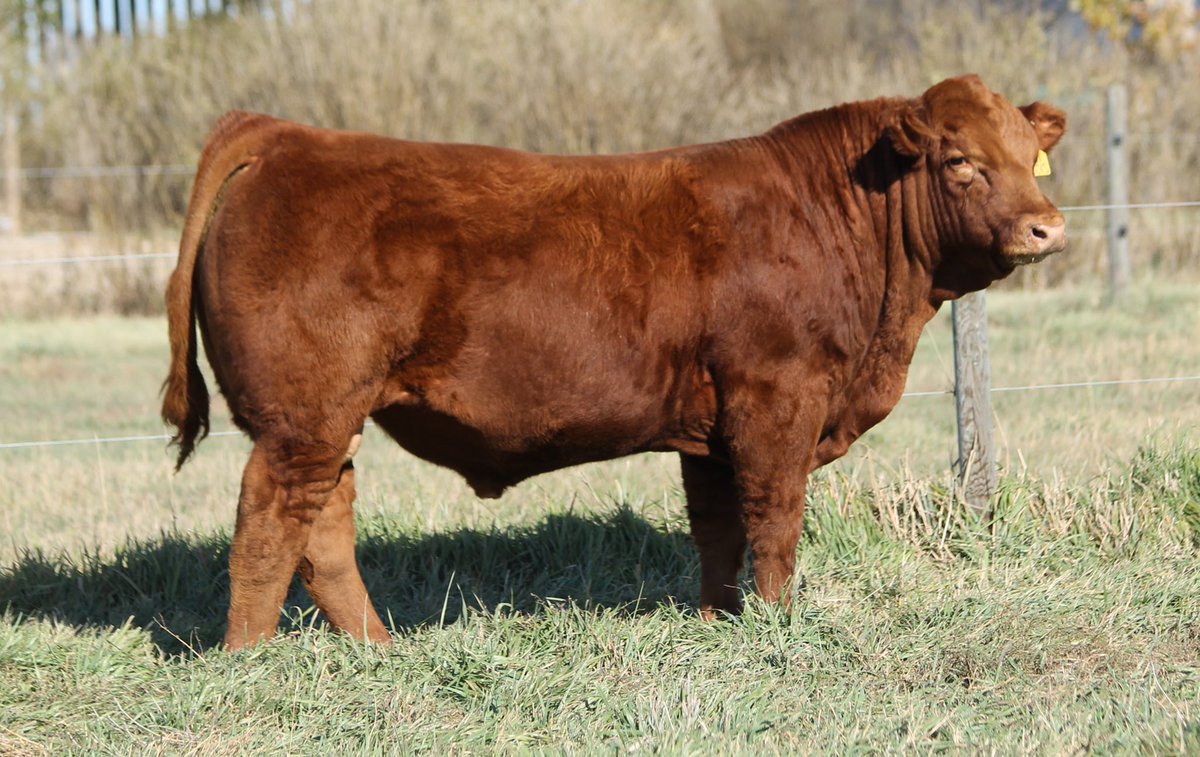 Eric Boon tweet media