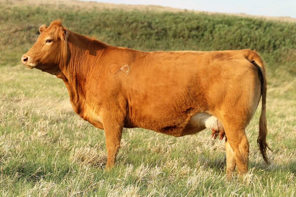 Eric Boon tweet media