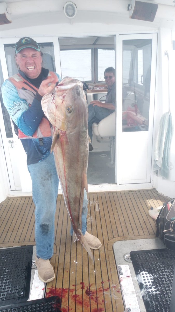 Mark Adams. tweet media