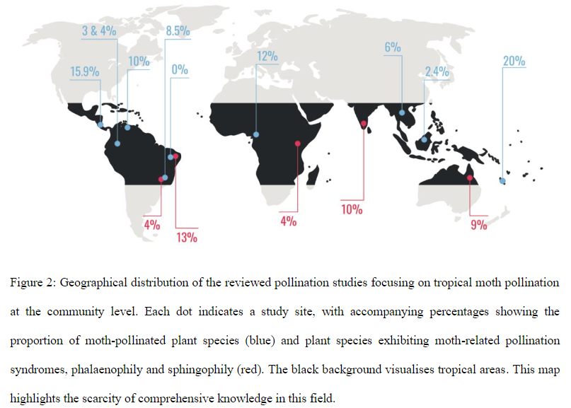 GroupInsect's tweet photo. New #preprint from our group: Interested in the contribution of night shift of #pollinators to the dynamics of tropical ecosystems? See our review on the role of tropical #moth #pollination by @MichalBartak2 and @RobertTropek placed in @ecoevorxiv #ecology
https://t.co/2eLRom5tY4 https://t.co/BQOX3Qc4pE