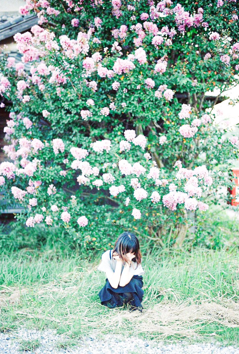 百瀬麦 tweet media