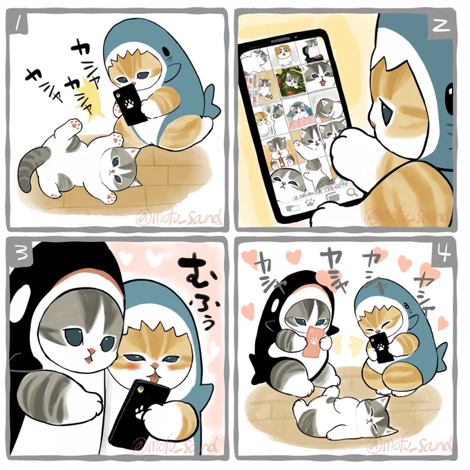#アルバムの日 携帯の中身、にゃんこ画像ばっかりになるんだよねー。