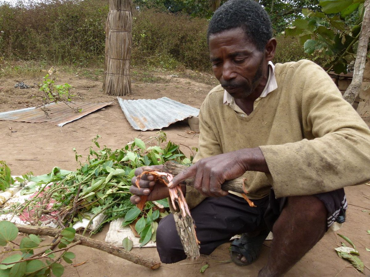 Botanischer Garten Hamburg (@botgartenhh) on Twitter photo Einladung!
Morgen um 19h laden wir zu unserem eintrittsfreien Wintervortag "Und dann bist Du unsichtbar - traditionelle Pflanzennutzung in Nord-Angola" ein. Dr. Thea Lautenschläger wird uns 90 Minuten in wärmere Gefilde mitnehmen. Alle Informationen: botanischer-garten.uni-hamburg.de/02veranstaltun… Einladung!
Morgen um 19h laden wir zu unserem eintrittsfreien Wintervortag "Und dann bist Du unsichtbar - traditionelle Pflanzennutzung in Nord-Angola" ein. Dr. Thea Lautenschläger wird uns 90 Minuten in wärmere Gefilde mitnehmen. Alle Informationen: botanischer-garten.uni-hamburg.de/02veranstaltun…