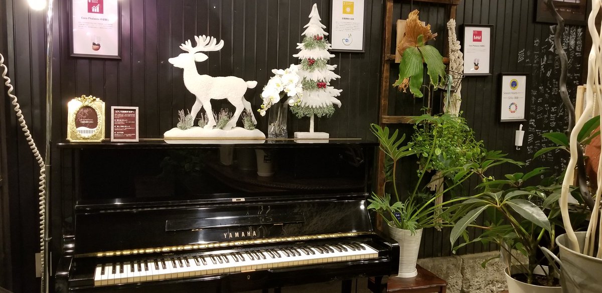 sabayu51167's tweet photo. 職場からほど近いストピ弾いてきました🎵
クリスマスのデコレーションが可愛らしいので、皆様も是非🎄🎅🎁✨
#ストリートピアノ #九段下 #FLOWERSHOP #seasonhearts #クリスマス #LOVECYCLE https://t.co/vUwtH7EbYR