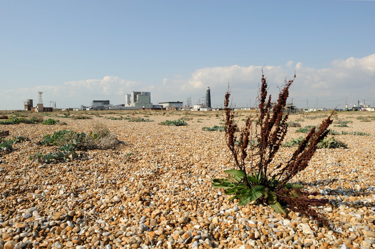 EA Geomorphology tweet media