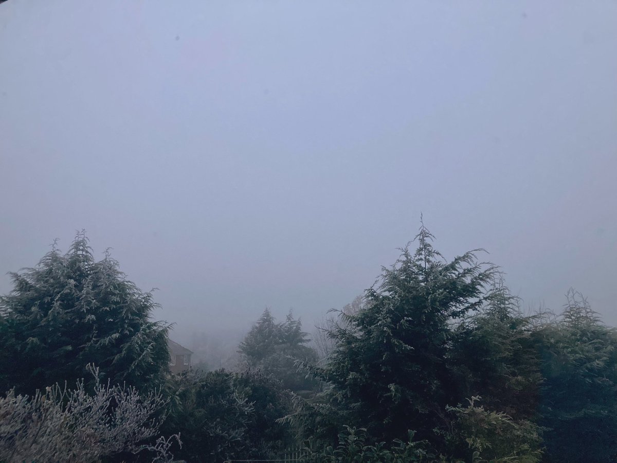 Hanna Heron tweet media