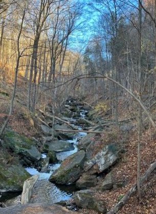 Niagara Bruce Trail tweet media