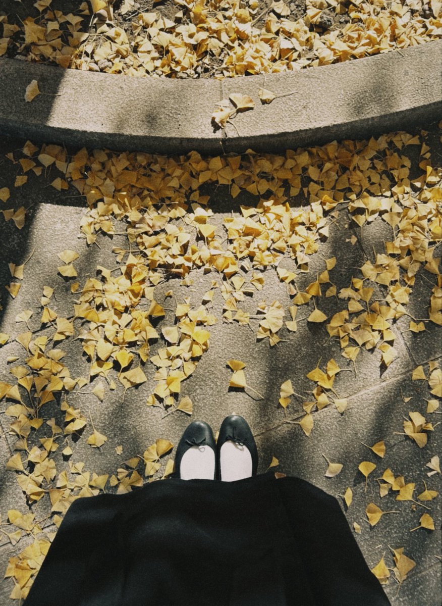 🍂✨ 