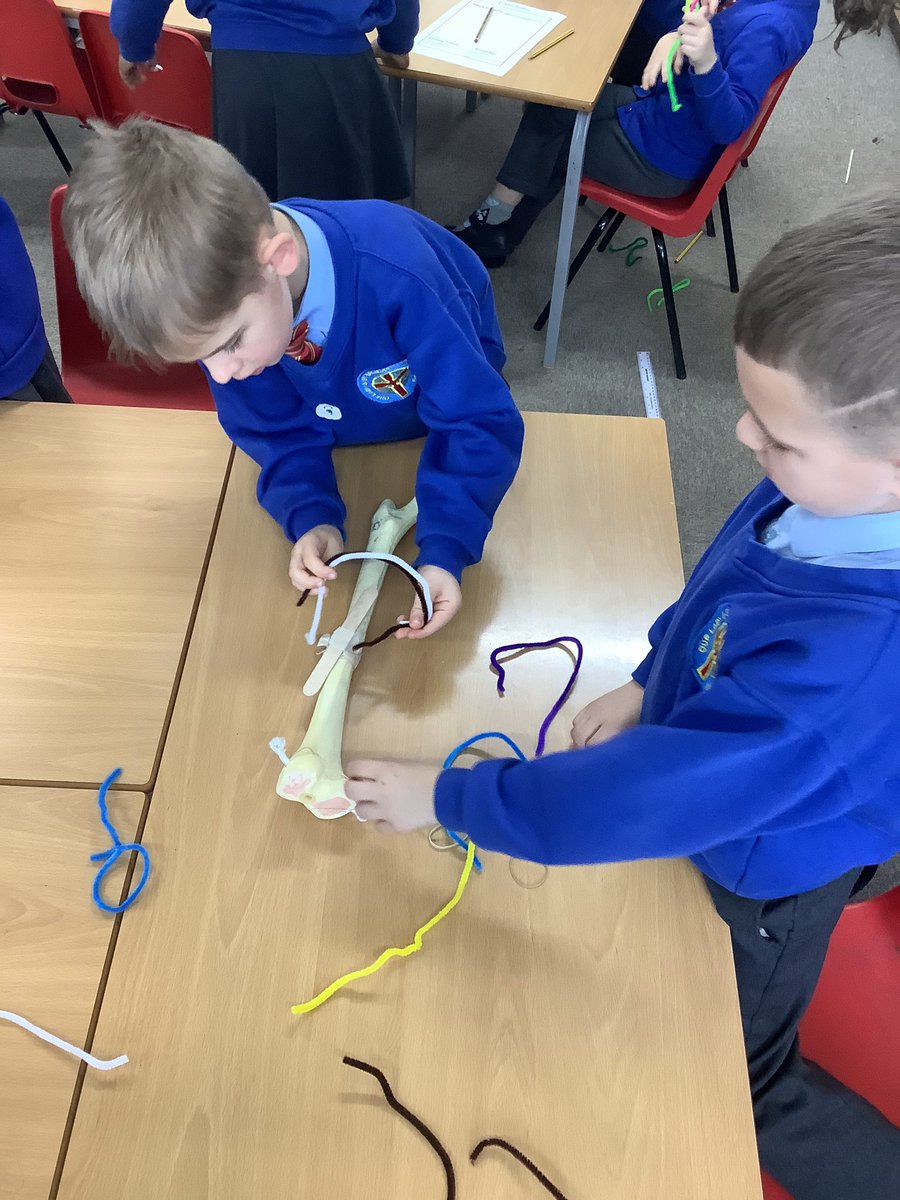 OLStBrendan's tweet image. 🧠✨ Intellect soared at OLSB during our Intellectual Day! Today, scientists immersed our children in the marvels of science, igniting curiosity and emphasising that we're all scientists at heart. @bcw_cat 🌐🔍 #IntellectualDay #ScienceExploration #YoungMindsAtWork #STEMlearning