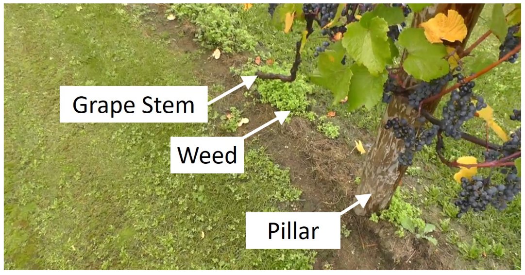 AgricultureMdpi's tweet image. #AgricultureMdpi - 2021 Highly Cited Paper

Title: Autonomous and Safe Navigation of Mobile Robots in Vineyard with Smooth Collision Avoidance
Authors:  Abhijeet Ravankar et al.

Link: doi.org/10.3390/agricu…
#vineyardrobots #autonomousrobots #navigation #featureextraction