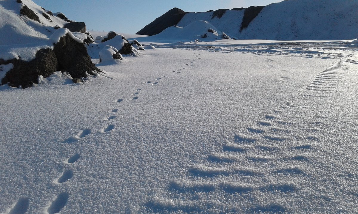 Huomenna rauhoitutaan itsenäisyyspäivän viettoon. Toivotamme hyvää itsenäisyyspäivää kaikille! 🇫🇮