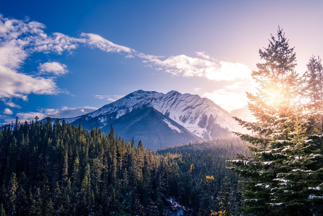 practice_jobs's tweet photo. Don't miss these exciting GP roles in #Canada:

➡️ Lucrative GP opportunity in Ontario - up to $475,000 annually + benefits: https://t.co/ueWphJKEct 

➡️ Attractive GP opportunity in Edmonton - up to $525,000 per annum + benefits: https://t.co/q8eac3f1IT 

#GPjobs #WorkAbroad https://t.co/7D4tmg6SeO