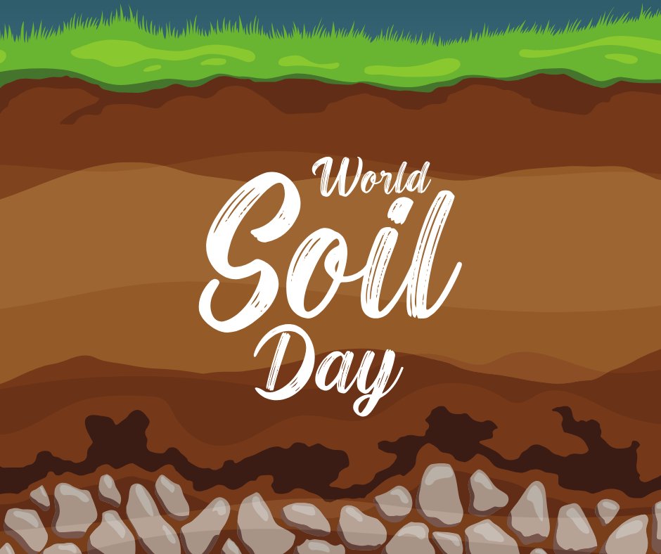 Happy World Soil Day from Barnes Associates Tree Diagnostics! 🌍🌳 

#WorldSoilDay #TreeHealth #SustainableLiving #BarnesAssociates #Trees #TreeDiagnostics