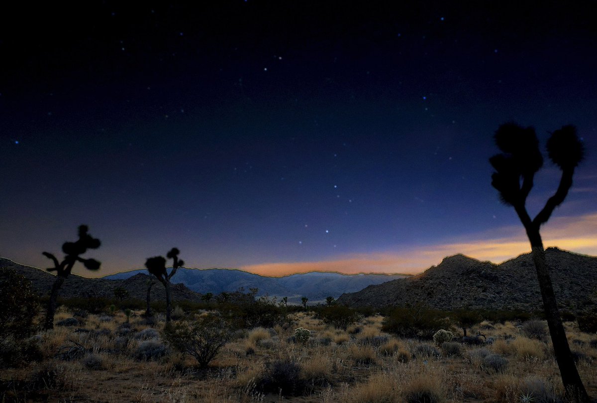 Scott_Bickers's tweet photo. Joshua Tree vibes https://t.co/cAGCsWhpqK