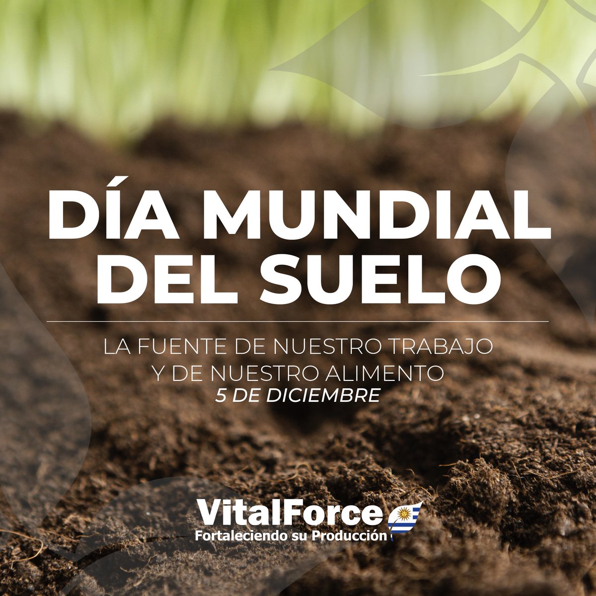 Cada 5 de diciembre el suelo bajo nuestros pies tiene su día. 

Fuente de trabajo, alimento y sustento de toda la vida, su conservación es de los mayores retos que tenemos en el presente.