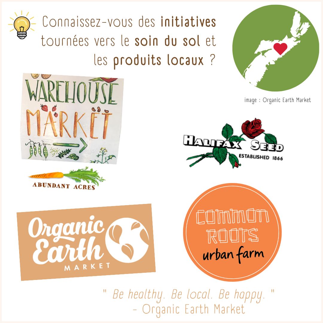 🌿 95% de notre alimentation provient du lien étroit entre le sol et l'eau, #soilday2023. 
L' #eau et le #sol sont le ciment de nos systèmes #agricoles et plus largement de nos écosystèmes. Sur Halifax-Dartmouth, de belles initiatives locales existent.
#earth #sustainibility #UN