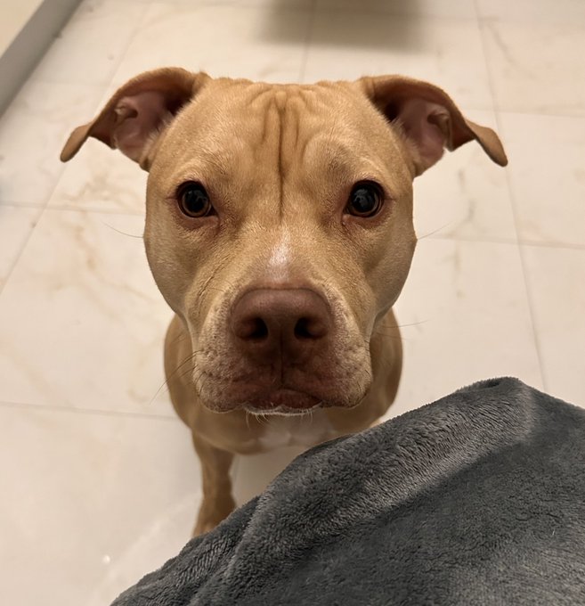 GIA says hi https://t.co/GFcDw089IZ