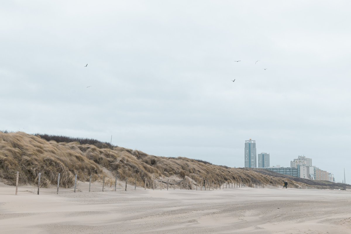 📢Looking forward to starting our 6-year NWA COMBINED project on interactions between #climate and #nature in the Netherlands soon with many great colleagues -  🌿🐰🐸🐝🌳More here: tinyurl.com/yzsnupt5 and tinyurl.com/4pcfx58x