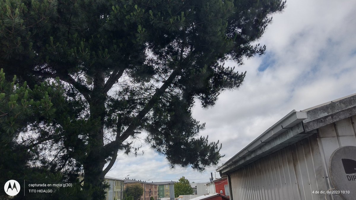 titohidalgo18's tweet photo. @muni_osorno @Geosorno01 @diariodeosorno @osornoonline2 @SOYDEOSORNO1 LE DEJO ESTA FOTOGRAFÍA PARA QUE PUEDAN RESOLVER ESTO YA  QUE ESTA MUY PELIGROSO  AYER MODIFIQUE LA ANTENA DE UN AMIGO Y VI EL PELIGRO QUE CORRE SU CASA Y  SU FAMILIA SI UNO DE ESOS GANCHOS CAE .. https://t.co/Afn7Uca99B