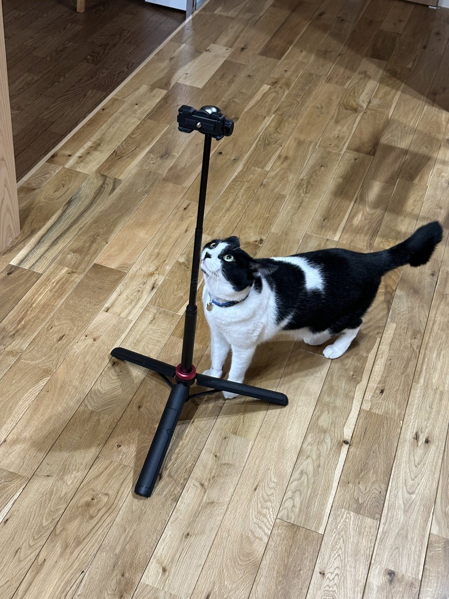 yuuhito07's tweet photo. MT-07で三脚背負って撮影出掛けたく無いので
『Ulanzi MT-44』
Amazonセールで購入。
安く細く軽い反面、分かっていたが重いレンズは無理でした…
これならバッグにも入るので、軽い単焦点持ってドライブ行けそうです🏍️💨

#mt07 #mt44 #Amazonセール #猫のいるくらし #バイク好き https://t.co/yZxzxkcSNN