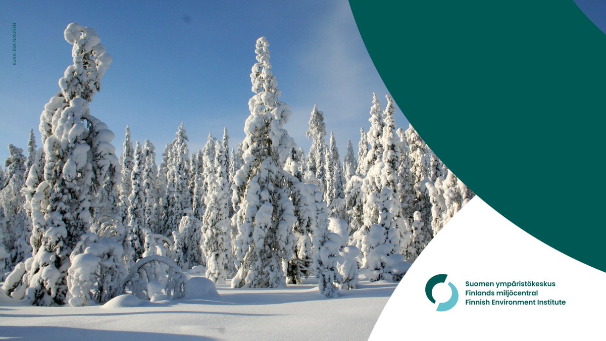 Suomen ympäristökeskus (@sykeinfo) on Twitter photo 🌳Suomen ympäristökeskus ja <a href="/LukeFinland/">Luonnonvarakeskus</a> ovat tarkastelleet #tutkimus'tiedon avulla, miten luonnontilaiset ja vanhat #metsät voidaan tunnistaa Suomessa EU:n komission ohjeiden mukaisesti. 🌲
Lue lisää tiedotteesta ja tutustu materiaaliin: sttinfo.fi/tiedote/700678… 🌳Suomen ympäristökeskus ja <a href="/LukeFinland/">Luonnonvarakeskus</a> ovat tarkastelleet #tutkimus'tiedon avulla, miten luonnontilaiset ja vanhat #metsät voidaan tunnistaa Suomessa EU:n komission ohjeiden mukaisesti. 🌲
Lue lisää tiedotteesta ja tutustu materiaaliin: sttinfo.fi/tiedote/700678…